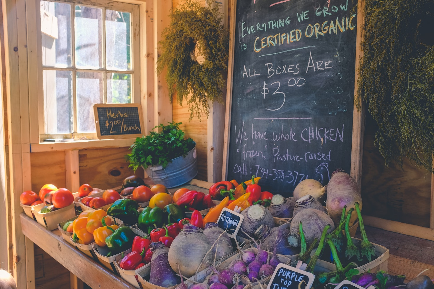 Cómo la alimentación consciente transforma vidas